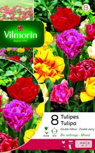 Tulipe Double Hâtive en Mélange (x8)